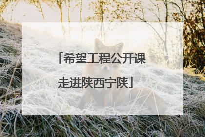 希望工程公开课走进陕西宁陕