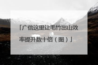 广信这里让毛竹出山效率提升数十倍（图）