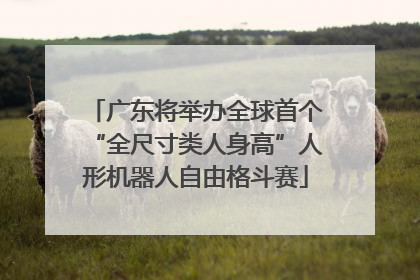 广东将举办全球首个“全尺寸类人身高”人形机器人自由格斗赛