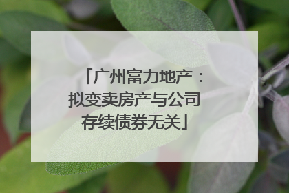 广州富力地产：拟变卖房产与公司存续债券无关