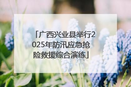 广西兴业县举行2025年防汛应急抢险救援综合演练