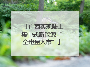 广西实现陆上集中式新能源“全电量入市”