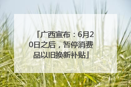 广西宣布：6月20日之后，暂停消费品以旧换新补贴