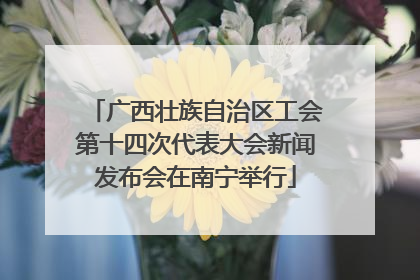 广西壮族自治区工会第十四次代表大会新闻发布会在南宁举行