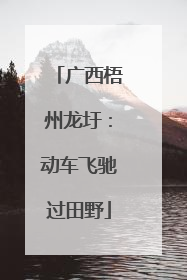 广西梧州龙圩：动车飞驰过田野