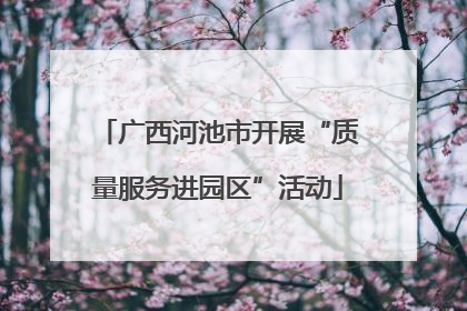 广西河池市开展“质量服务进园区”活动