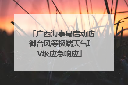 广西海事局启动防御台风等极端天气IV级应急响应
