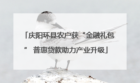 庆阳环县农户获“金融礼包” 普惠贷款助力产业升级