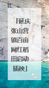 延庆张山营镇百亩网红稻田启动插秧