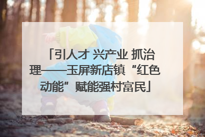 引人才 兴产业 抓治理——玉屏新店镇“红色动能”赋能强村富民