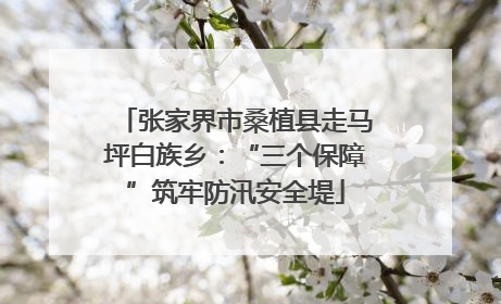 张家界市桑植县走马坪白族乡：“三个保障”筑牢防汛安全堤