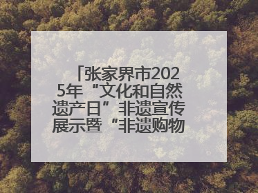 张家界市2025年“文化和自然遗产日”非遗宣传展示暨“非遗购物节”活动在慈利县盛大启幕