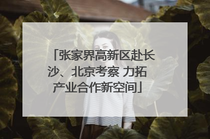 张家界高新区赴长沙、北京考察 力拓产业合作新空间