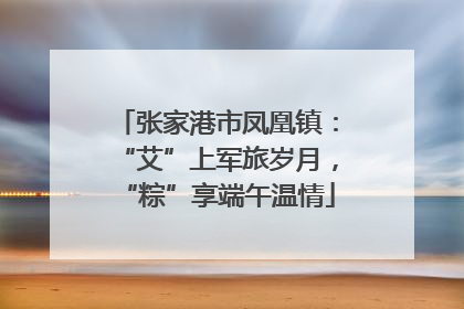 张家港市凤凰镇：“艾”上军旅岁月，“粽”享端午温情