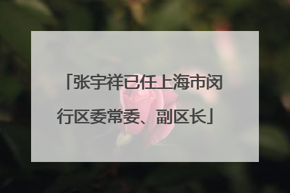 张宇祥已任上海市闵行区委常委、副区长