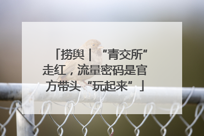 捞舆｜“青交所”走红，流量密码是官方带头“玩起来”