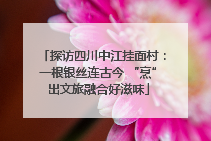 探访四川中江挂面村：一根银丝连古今 “烹”出文旅融合好滋味