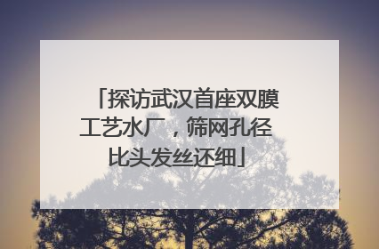 探访武汉首座双膜工艺水厂，筛网孔径比头发丝还细