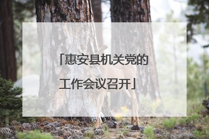 惠安县机关党的工作会议召开