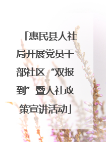 惠民县人社局开展党员干部社区“双报到”暨人社政策宣讲活动