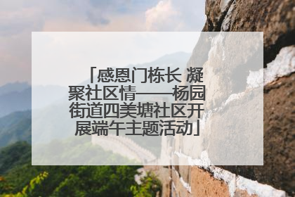 感恩门栋长 凝聚社区情——杨园街道四美塘社区开展端午主题活动