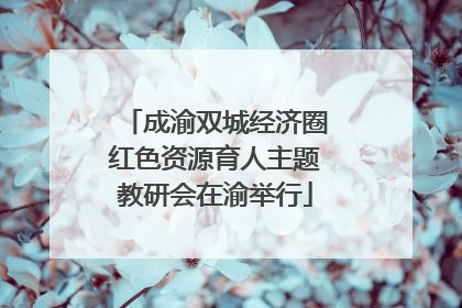 成渝双城经济圈红色资源育人主题教研会在渝举行