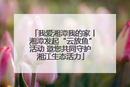 我爱湘潭我的家丨湘潭发起“云放鱼”活动 邀您共同守护湘江生态活力