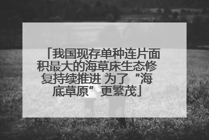 我国现存单种连片面积最大的海草床生态修复持续推进 为了“海底草原”更繁茂