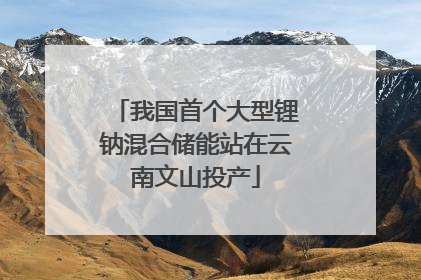 我国首个大型锂钠混合储能站在云南文山投产