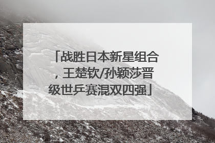 战胜日本新星组合，王楚钦/孙颖莎晋级世乒赛混双四强