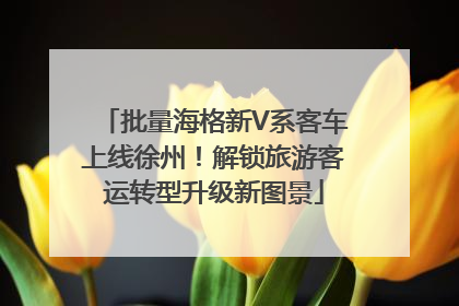批量海格新V系客车上线徐州！解锁旅游客运转型升级新图景