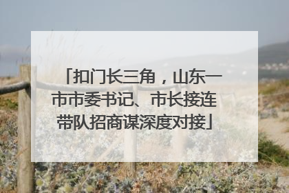 扣门长三角，山东一市市委书记、市长接连带队招商谋深度对接