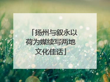 扬州与叙永以荷为媒续写两地文化佳话