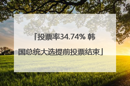 投票率34.74% 韩国总统大选提前投票结束
