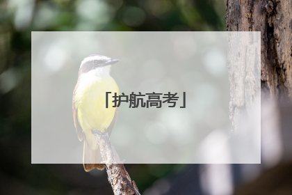 护航高考