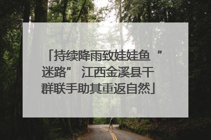 持续降雨致娃娃鱼“迷路” 江西金溪县干群联手助其重返自然