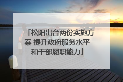 松阳出台两份实施方案 提升政府服务水平和干部履职能力
