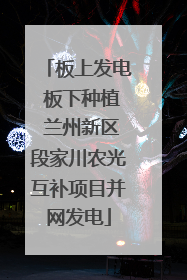 板上发电 板下种植 兰州新区段家川农光互补项目并网发电