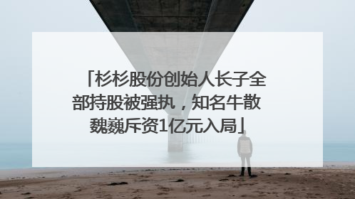 杉杉股份创始人长子全部持股被强执，知名牛散魏巍斥资1亿元入局