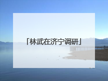 林武在济宁调研