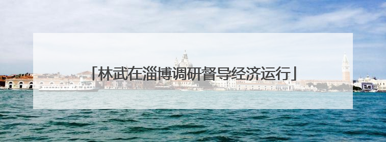 林武在淄博调研督导经济运行