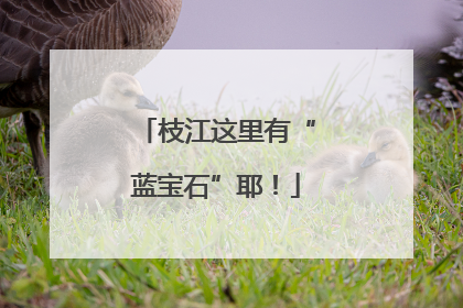 枝江这里有“蓝宝石”耶！