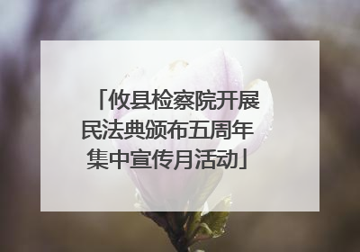 攸县检察院开展民法典颁布五周年集中宣传月活动