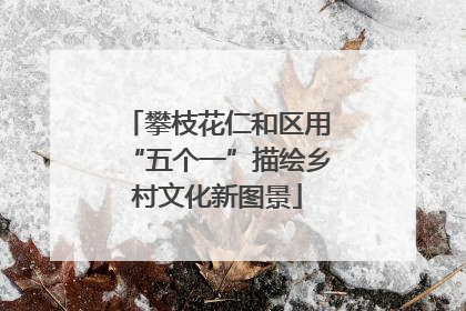 攀枝花仁和区用“五个一”描绘乡村文化新图景