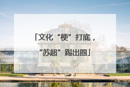 文化“梗”打底，“苏超”踢出圈