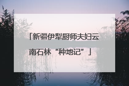 新疆伊犁厨师夫妇云南石林“种地记”