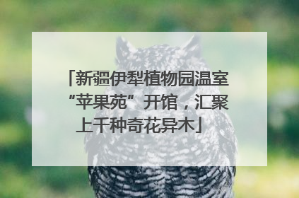 新疆伊犁植物园温室“苹果苑”开馆，汇聚上千种奇花异木