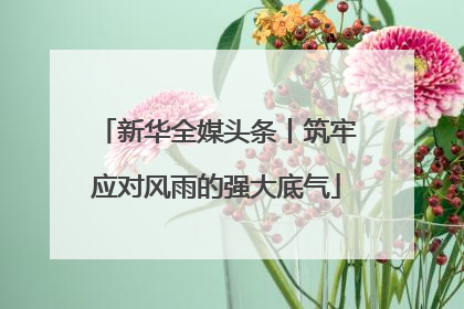新华全媒头条丨筑牢应对风雨的强大底气