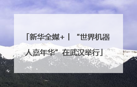 新华全媒+丨“世界机器人嘉年华”在武汉举行