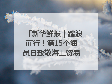 新华鲜报｜踏浪而行！第15个海员日致敬海上贸易“守护人”